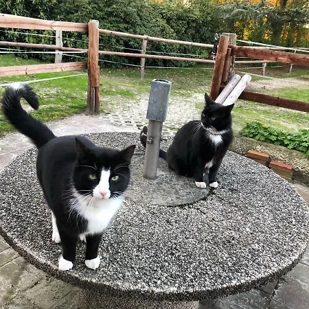 Maerchencamping Camping