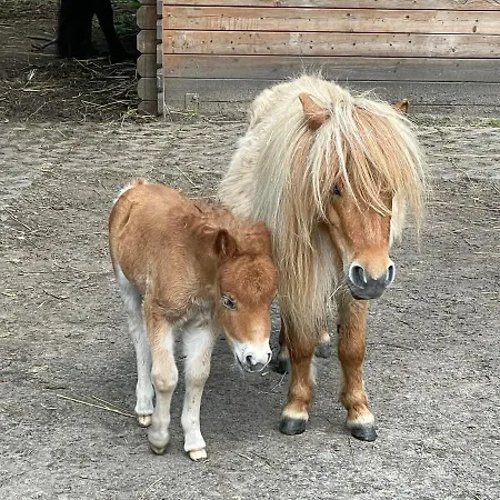 Camping Maerchencamping Stuhr