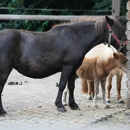 Camping Maerchencamping Stuhr