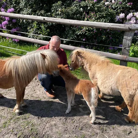 Camping Maerchencamping