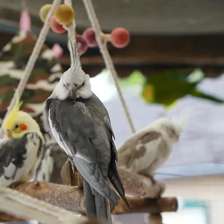 Camping Maerchencamping