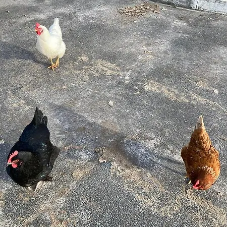 Camping Maerchencamping *